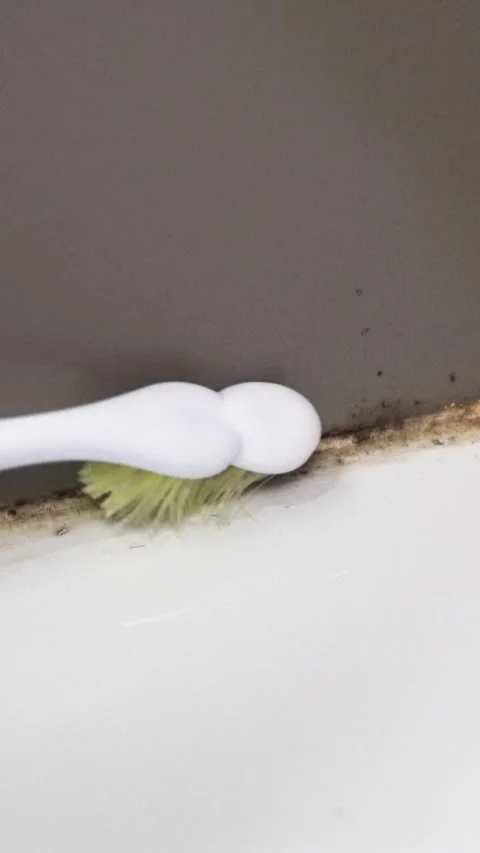 Cleaning moldy tile 库存影片 333908715