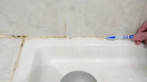 Cleaning moldy tile with a toothbrush Vidéo 83072001
