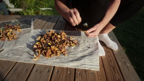 Cleaning mushrooms. Stock Footage 97454825