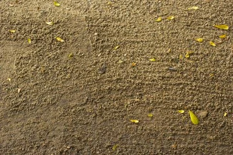 Cleaning for nature Stock Photos