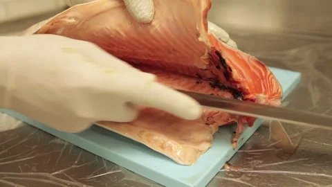 Cleaning out a fish Stock Footage 75277838