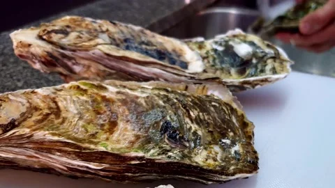 Cleaning oyster Stock Footage 156638405
