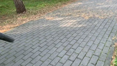 Cleaning up pine needles with handheld blower Stock Footage 139044389