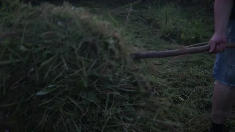 Cleaning of the plot from freshly mown grass. summer mowing. village work on the Stock Footage 170822656
