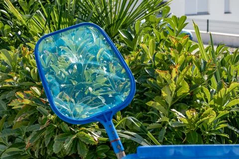 Cleaning pool chlorination strainer for cleaning pool water Stock Photos