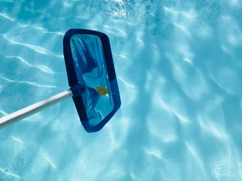 Cleaning pool Stock Photos