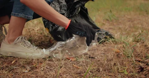 Cleaning programs, volunteers pick up plastic debris in forest Stock Footage 201962861