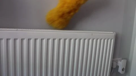 Cleaning radiator 库存影片 131368905