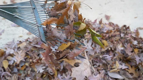 Cleaning the rake with a concrete background 4K Stock Footage 120302771