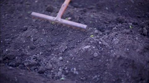 Cleaning  with a Rake Garden Stock Footage 49764334