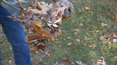 Cleaning a rake with a grass background 4K Stock Footage 120302769