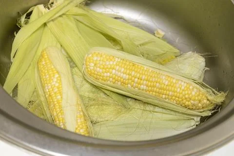 Cleaning raw cobs of sweet corn in kitchen sink against background. Ears of swee Stock Photos