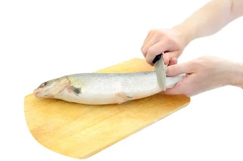 Cleaning raw fish Stock Photos