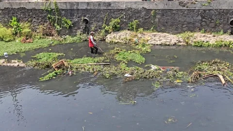 Cleaning the river in the city Stock Footage 249801724