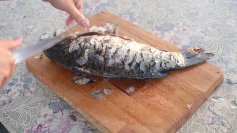 Cleaning River Craps on a Board Stock Footage 278783037