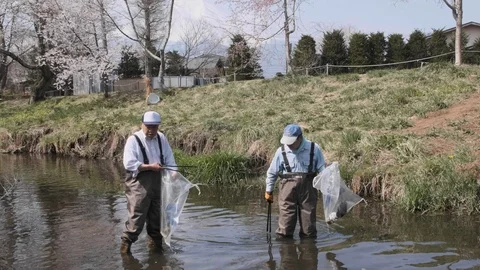 Cleaning River In Japan Stock Footage 106717140