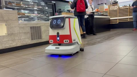 Cleaning robot Stock Footage 311442994