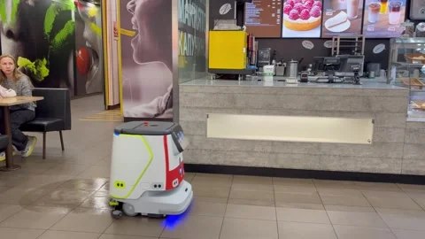 Cleaning robot Stock Footage 311442996