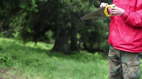 Cleaning The Saw In The Forrest Stock Footage 65093700