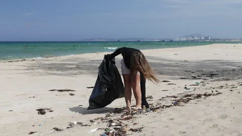 Cleaning the sea coast from plastic. Stock Footage 312638702