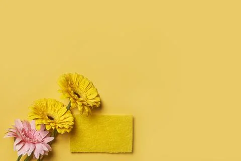 Cleaning service concept Stock Photos
