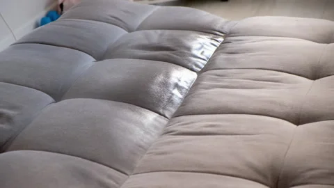 Cleaning service worker removing stain washing sofa in clients home. Stock Footage 311798464