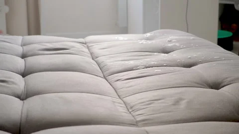 Cleaning service worker spraying foamy detergent on sofa in clients home. Stock Footage 311798524