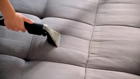 Cleaning service worker vacuum grey sofa using professional vacuum cleaner. Video stock 311800417