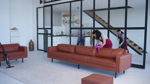 Cleaning services in modern home interior Stock Footage 279494816