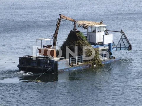 Cleaning ship on water surface Stock Photos