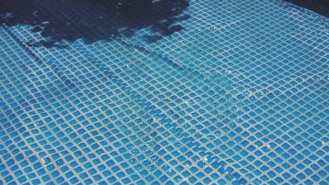 Cleaning a Small Pool on Your Home Plot Stock Footage 317886103
