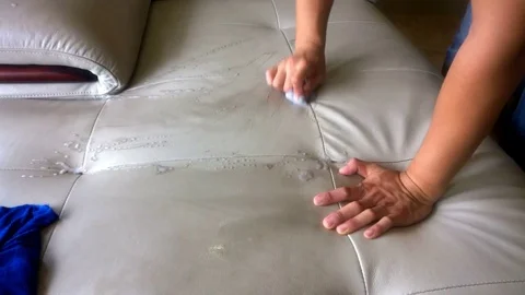 Cleaning sofa with sponge and cloth Stock Footage 76845299