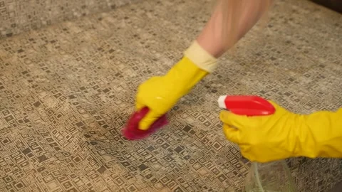 Cleaning a sofa from stains using a brush and cleaning agent. A woman is 動画素材 308737818