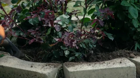 Cleaning the Soil at the Bottom of Spring Video stock 140019519