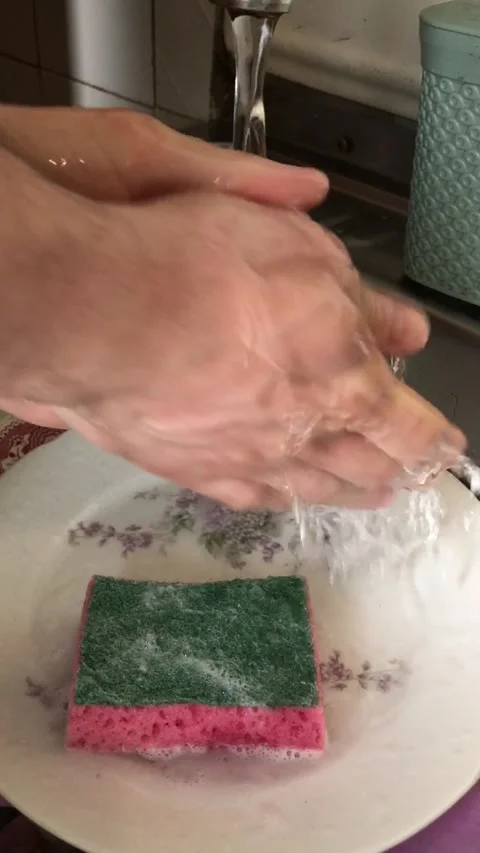 Cleaning a sponge with running water in the kitchen Stock Footage 308368275