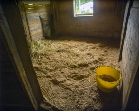 Cleaning a stall 写真素材