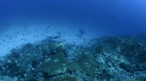 Cleaning Station View From Above.mp4 Stock Footage 66693811
