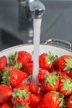 Cleaning Strawberries Stock Photos