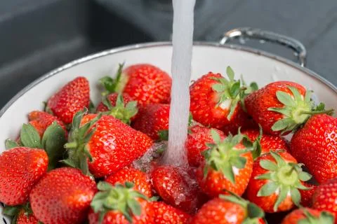 Cleaning Strawberries Stock Photos