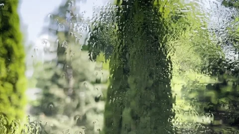 Cleaning surface Stock Footage 242389298