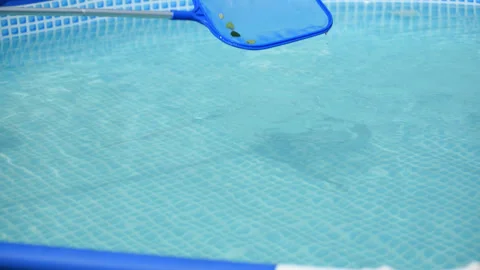 Cleaning the surface of a home pool with a skimmer Stock Footage 242406119