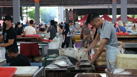Cleaning Terubuk Stock Footage 171275273