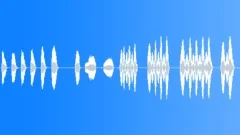 Cleaning textiles - dry Sound Effect
