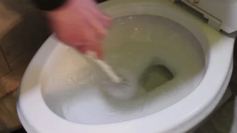 Cleaning Toiled Bowl Stock Footage 237646065