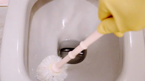 Cleaning Toilet Vidéo 37819045