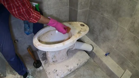 Cleaning the toilet. Vidéo 120286573
