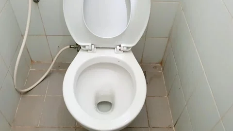 Cleaning a Toilet: A Step-by-Step Guide to Sanitizing and Maintaining a Cle.. Stock Footage 301063360