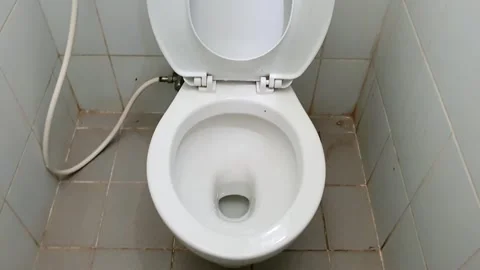Cleaning a Toilet: A Step-by-Step Guide to Sanitizing and Maintaining a Cle.. 스톡 동영상 301063428