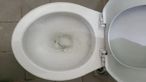 Cleaning a Toilet: A Step-by-Step Guide to Sanitizing and Maintaining a Cle.. 스톡 동영상 301063527