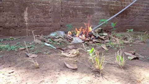 Cleaning up trash by burning it in the corner of the garden Stock Footage 290031146